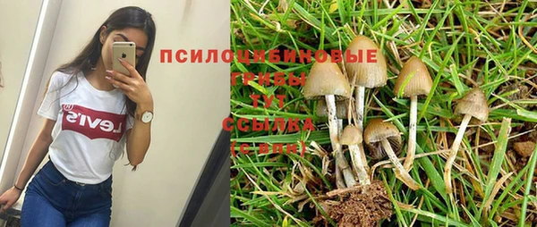 mdpv Абинск