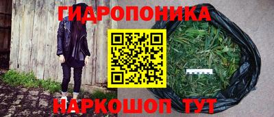 дживик Вязьма