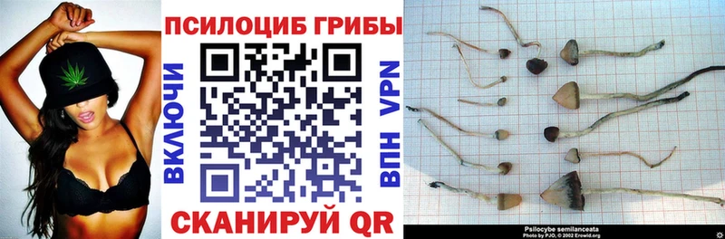 гидра ССЫЛКА  Барнаул  Галлюциногенные грибы Psilocybe 