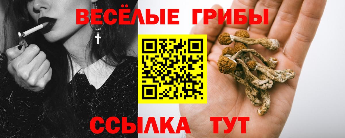 Галлюциногенные грибы Magic Shrooms Барнаул